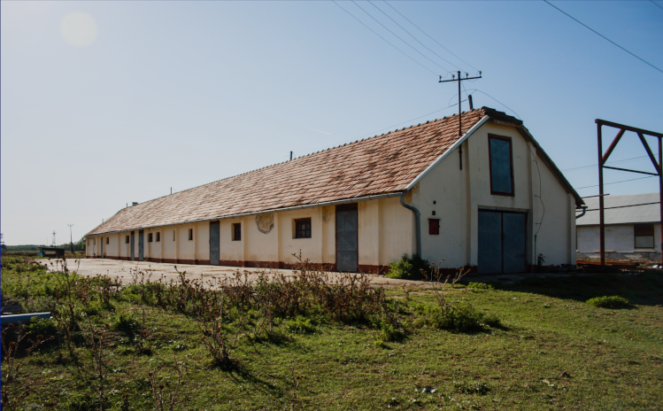 Lakatosüzem